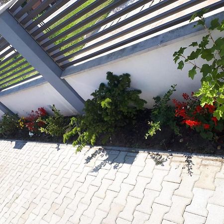 Apartament Saguna Sînnicolau Mare المظهر الخارجي الصورة