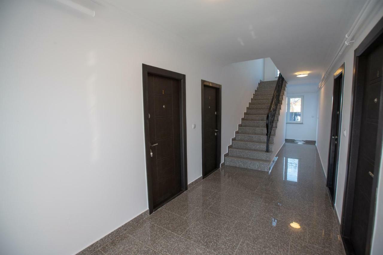 Apartament Saguna Sînnicolau Mare المظهر الخارجي الصورة